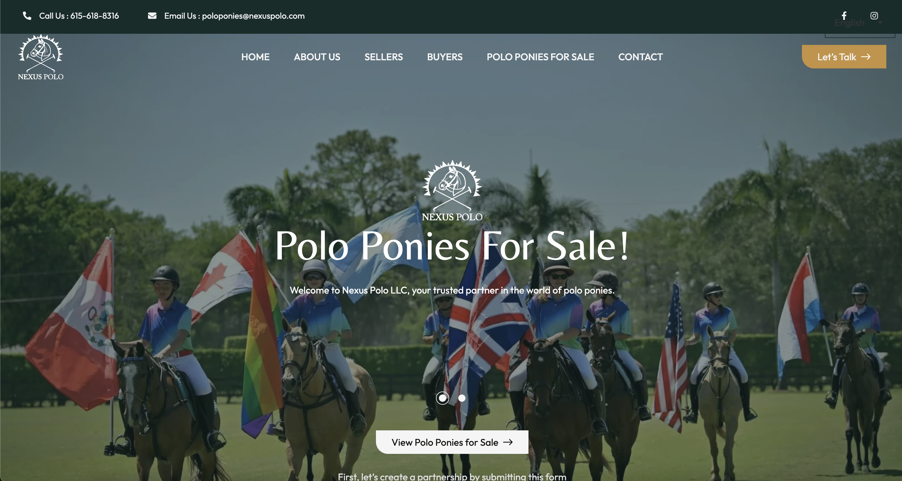 Nexus Polo website homepage