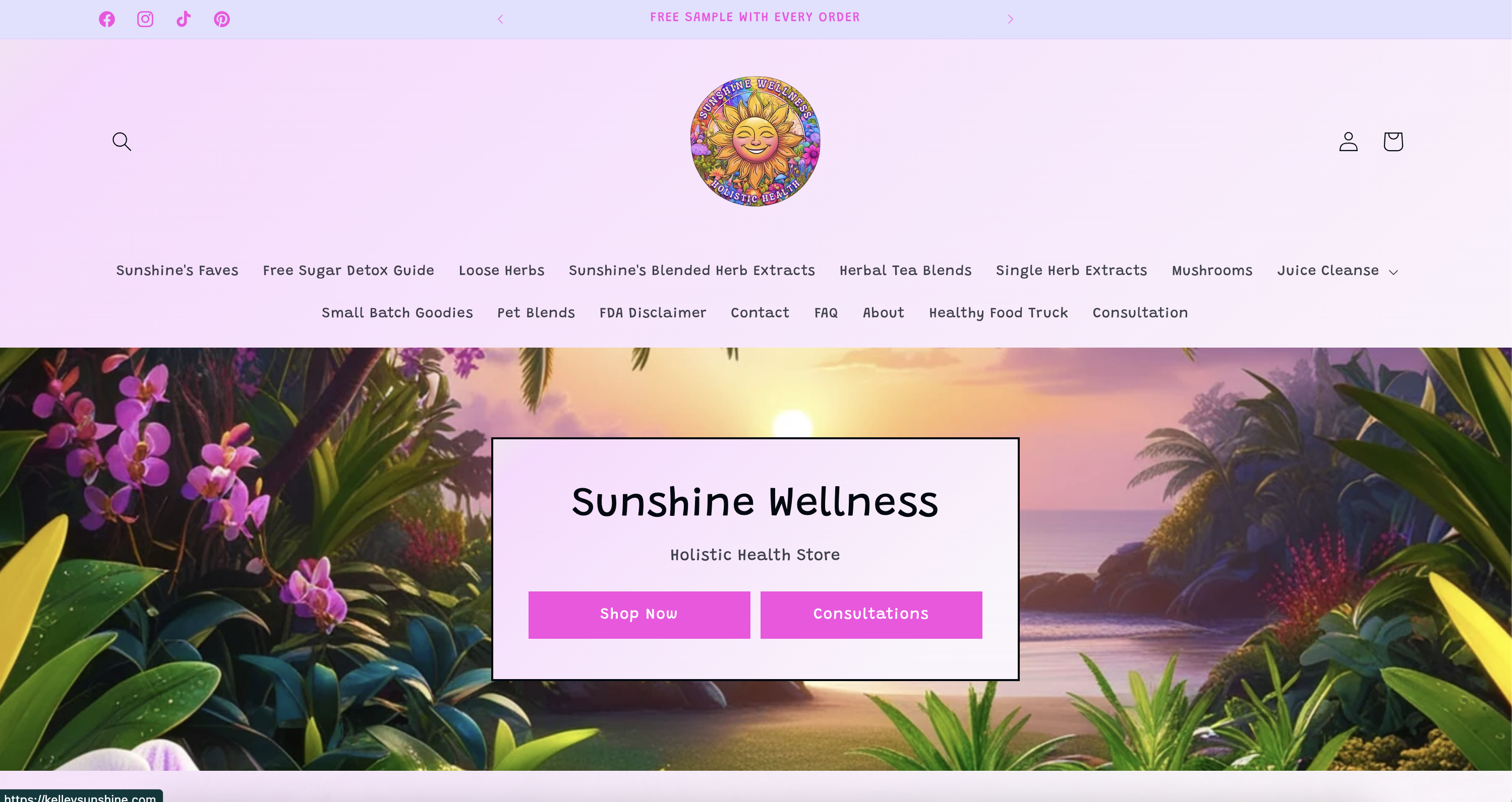 Kelley Sunshine website homepage