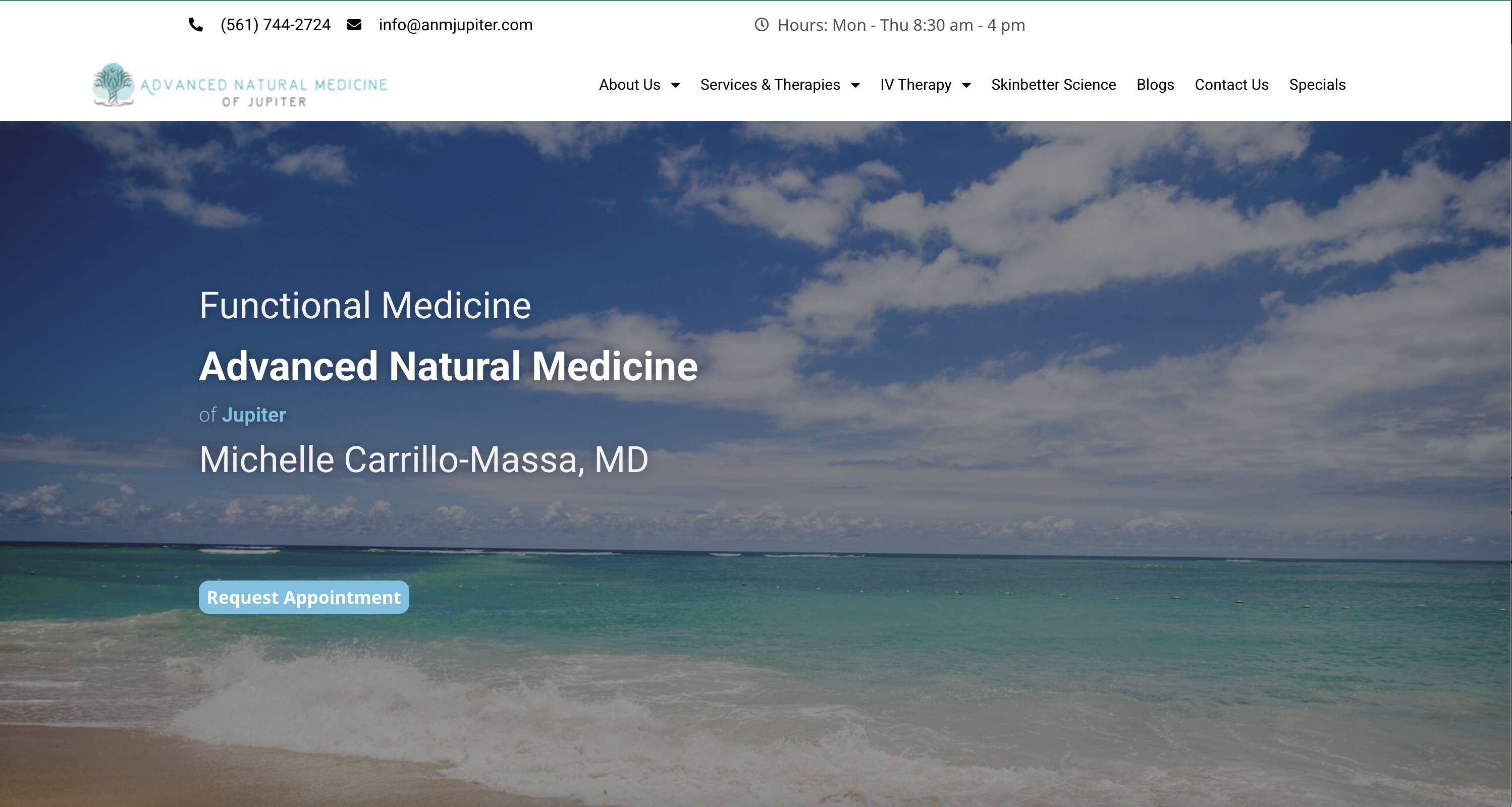 Dr. Michelle Massa website homepage